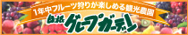 �o�i�[